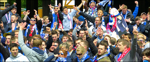 crowd of fans cheering you on